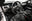 FORD Mustang 5.0 TiVCT V8 307kW Mustang GT A.Fast.