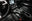 FORD Mustang 5.0 TiVCT V8 307kW Mustang GT A.Fast.