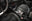 SUBARU Forester 2.0i Hybrid CVT Executive
