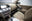 NISSAN Murano 2.5 dCi Tekna Premium AT