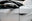 VOLKSWAGEN T-Roc R 2.0 TSI 221kW (300CV) 4Motion DSG 2021