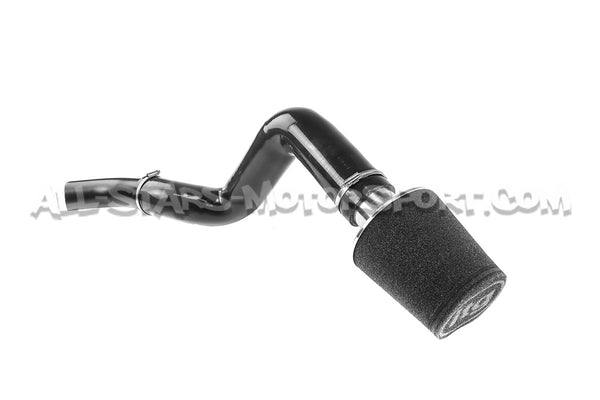 Admision ITG Maxogen para Renault Megane 3 RS
