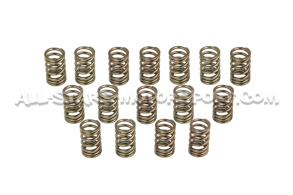Kit de muelles de valvulas HKS para Nissan 200sx S14 SR20DET