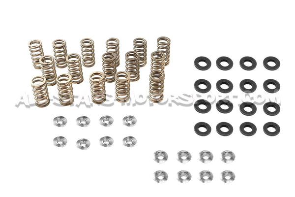 Kit de muelles y copelas de valvula Ferrea para Golf 6 GTI / Scirocco / Leon 2 FR 2.0 TSI EA888.1