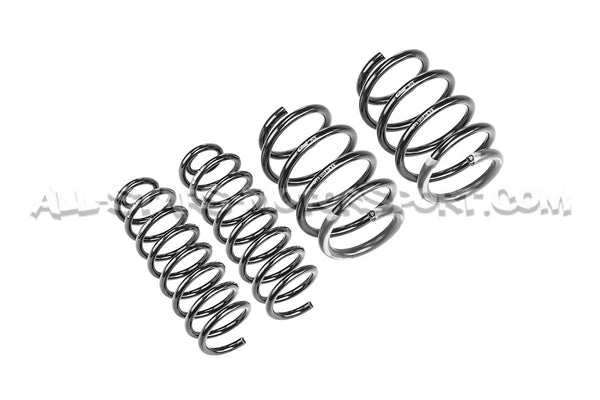 Muelles de suspensión Eibach Pro-Kit -25mm para Renault Megane 2 RS