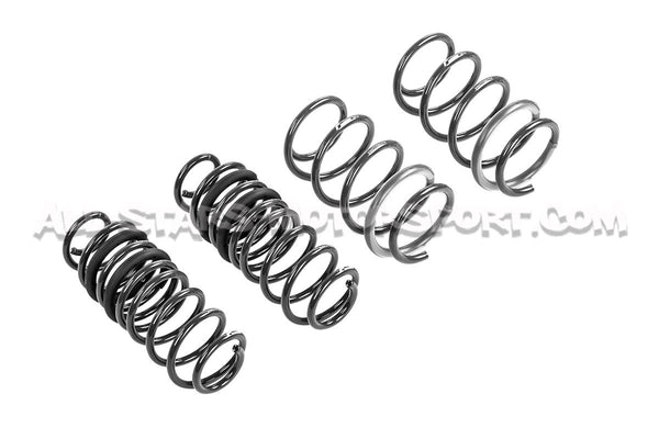 Muelles de suspensión Racingline -30mm para Polo AW GTI