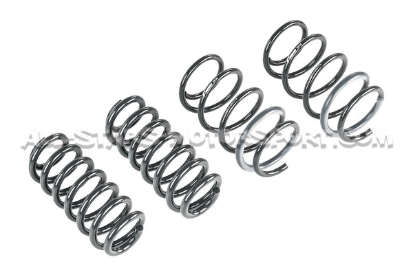 Muelles de suspensión Racingline para Audi S3 8Y Sedán / SportBack
